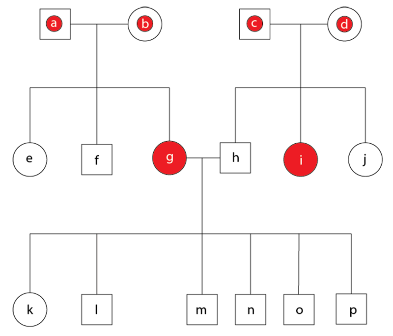 Managing the Carriers Part 1 figure 2