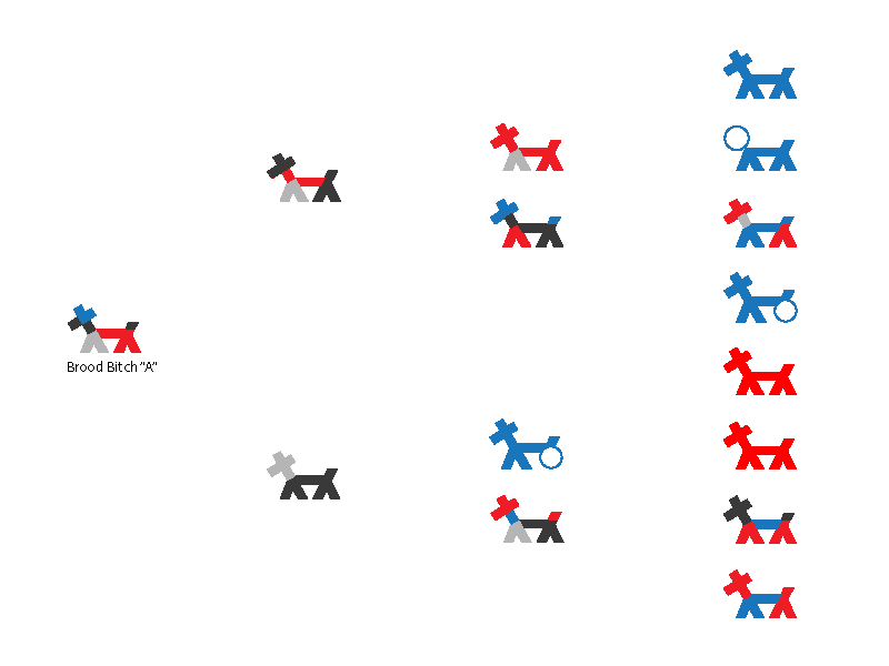 Figure 2. Stick Dog Pedigree