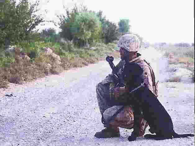 A solider on a gravel top road with his working dog