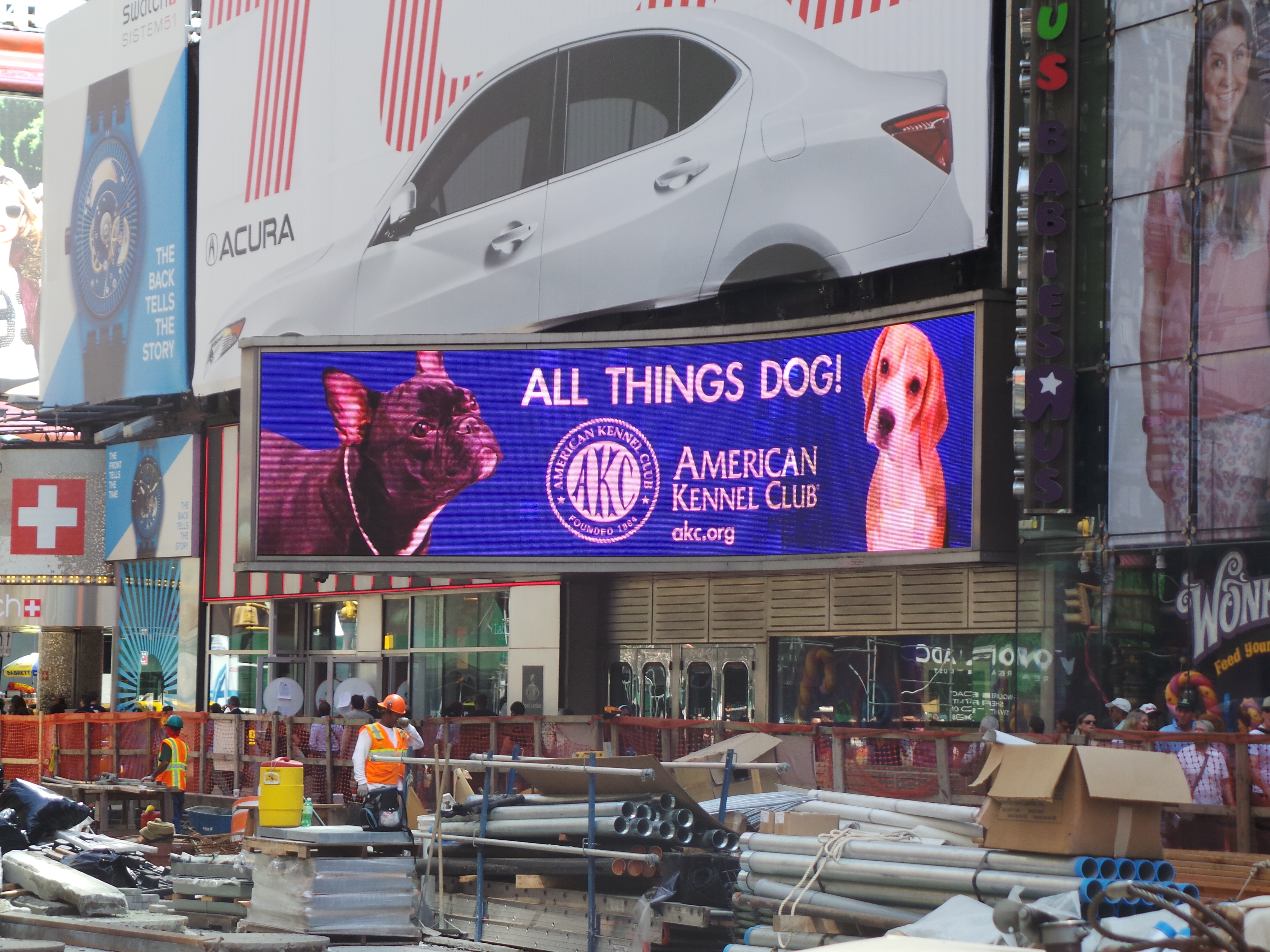 all-things-dogs.jpg
