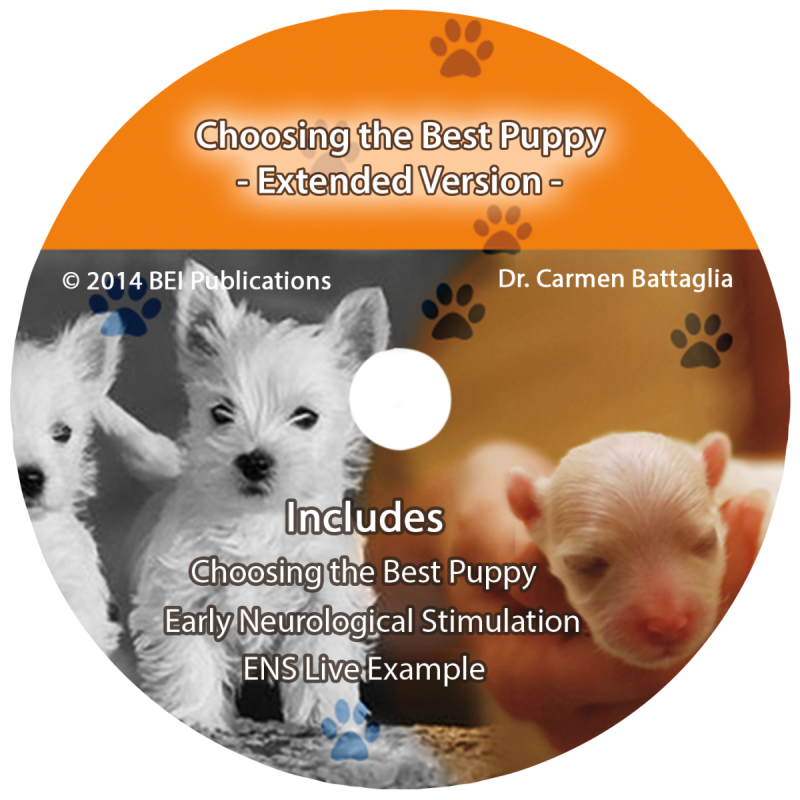 Choosing the beat puppy DVD label