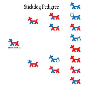 Stickdog Pedigree