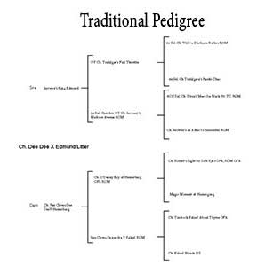 Traditional Pedigree