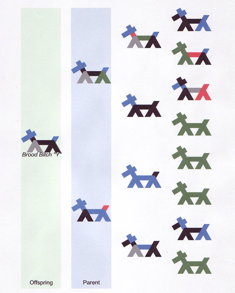 Stick Dog Pedigree Chart