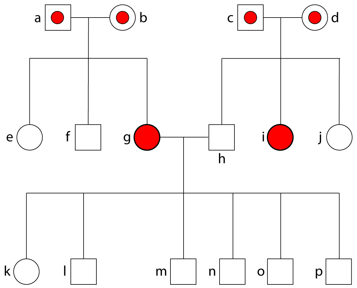 Breadth of Pedigree Figure 1 Symbols Pedigree