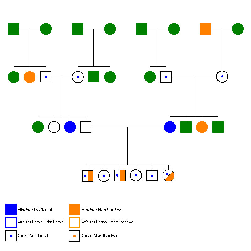 Control of Dreaded Disorders - Figure 2 Symbols Pedigree