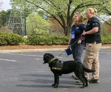 Two women with a leashed working dog