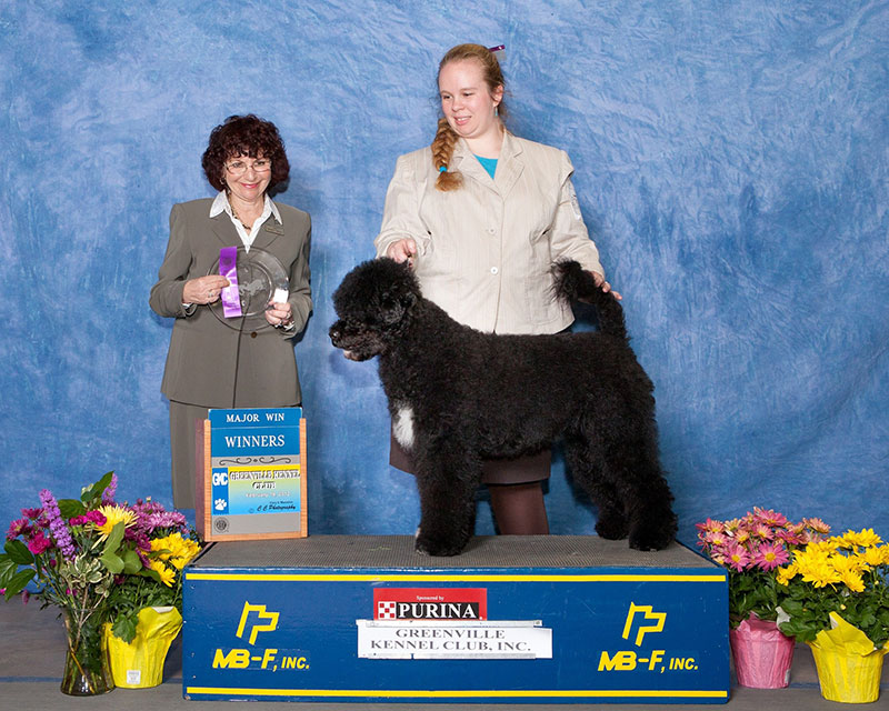 2012 Bri Tesarz, AKC Programs Manager, Event Operations