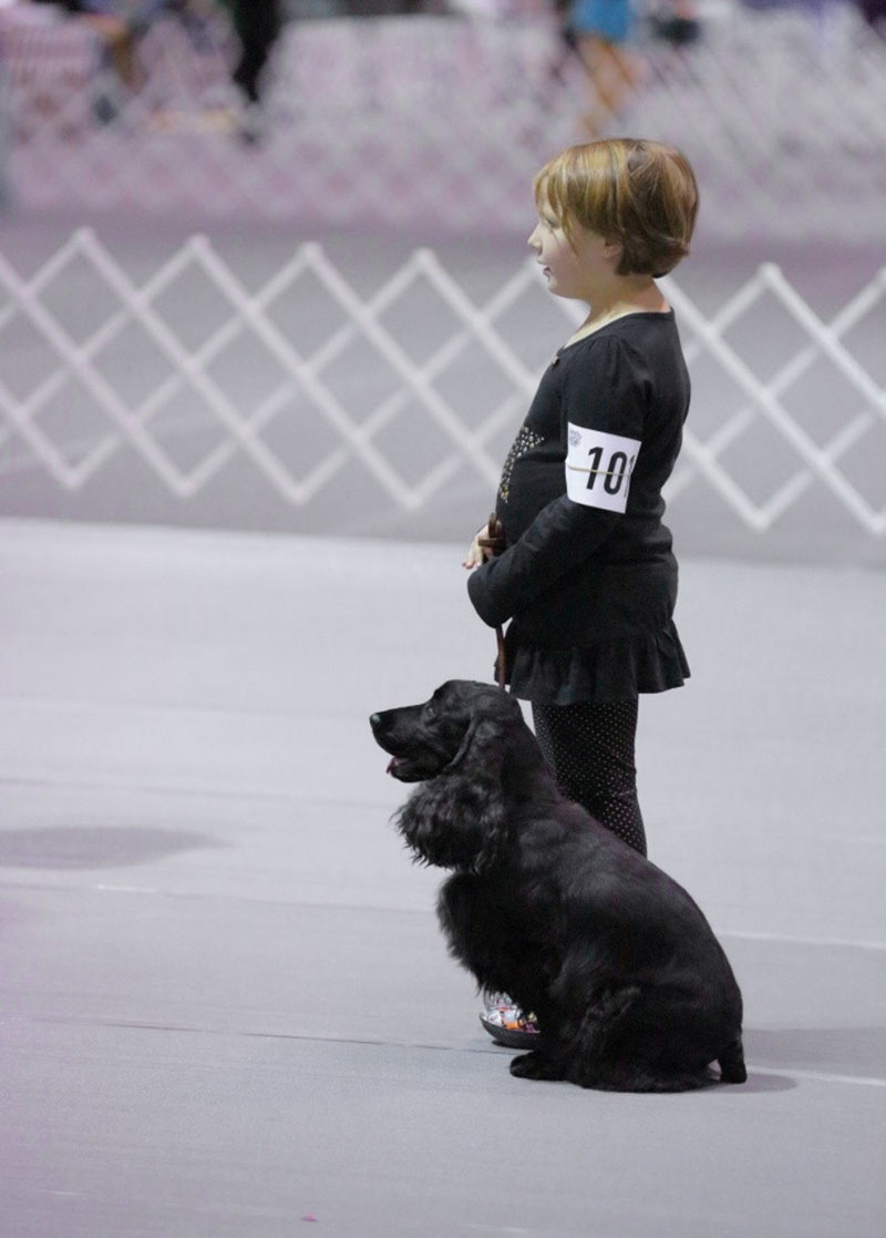 2013 Eukanuba - Elise Jerozal