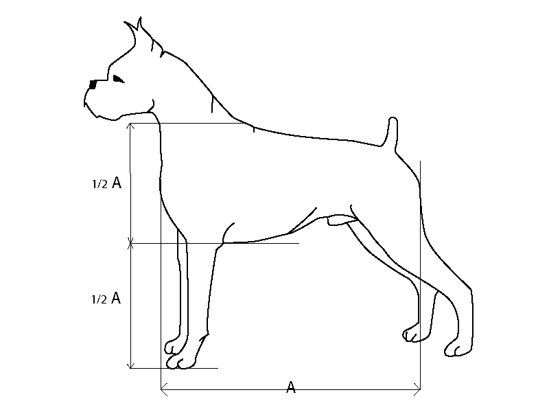 Figure 3. A square body