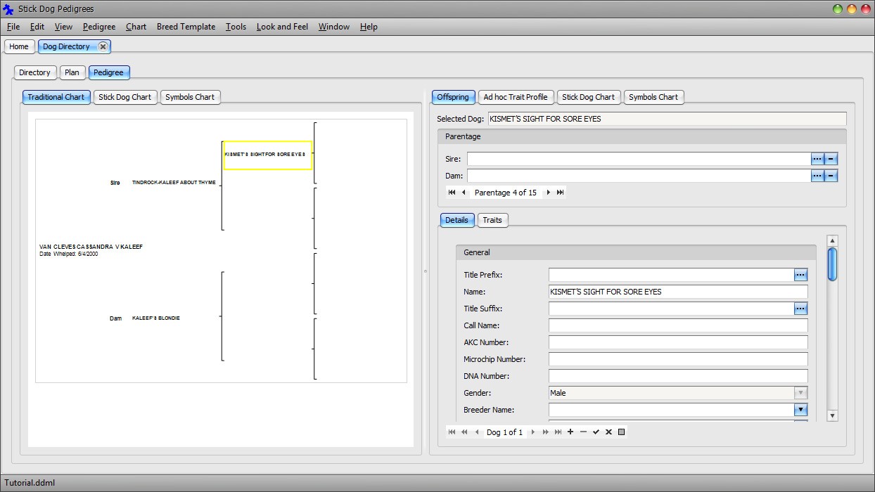 The Stickdog Pedigrees Program showing the Traditional Chart