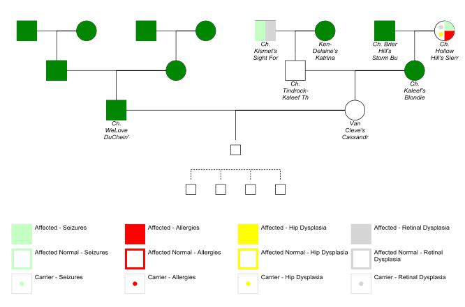 Symbols Pedigree