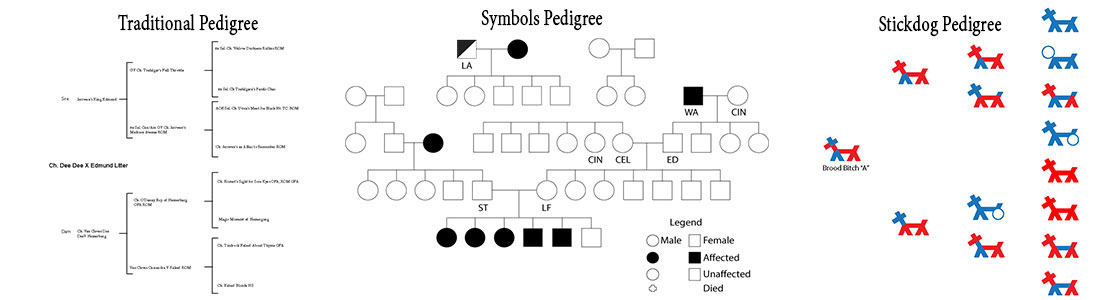 pedigrees